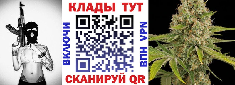 МЕФ Сургут