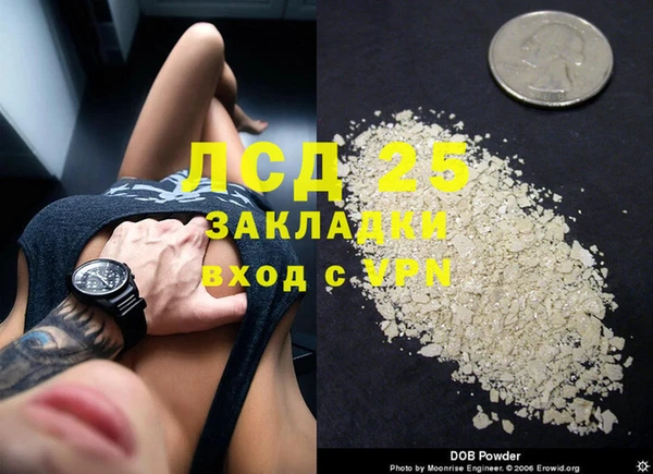 дмт Алзамай