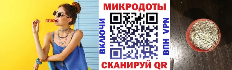 где купить   Сургут  Псилоцибиновые грибы Psilocybe 