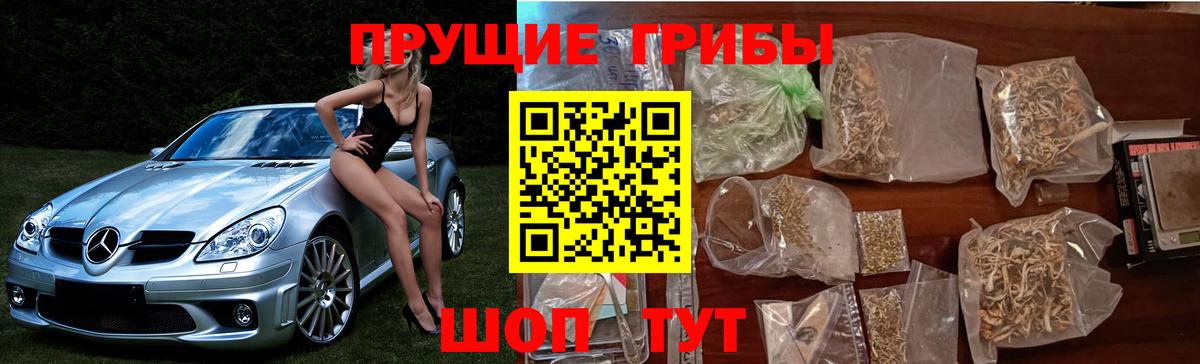 Сургут  Псилоцибиновые грибы ЛСД  Вход с VPN  Псилоцибиновые грибы ЛСД 