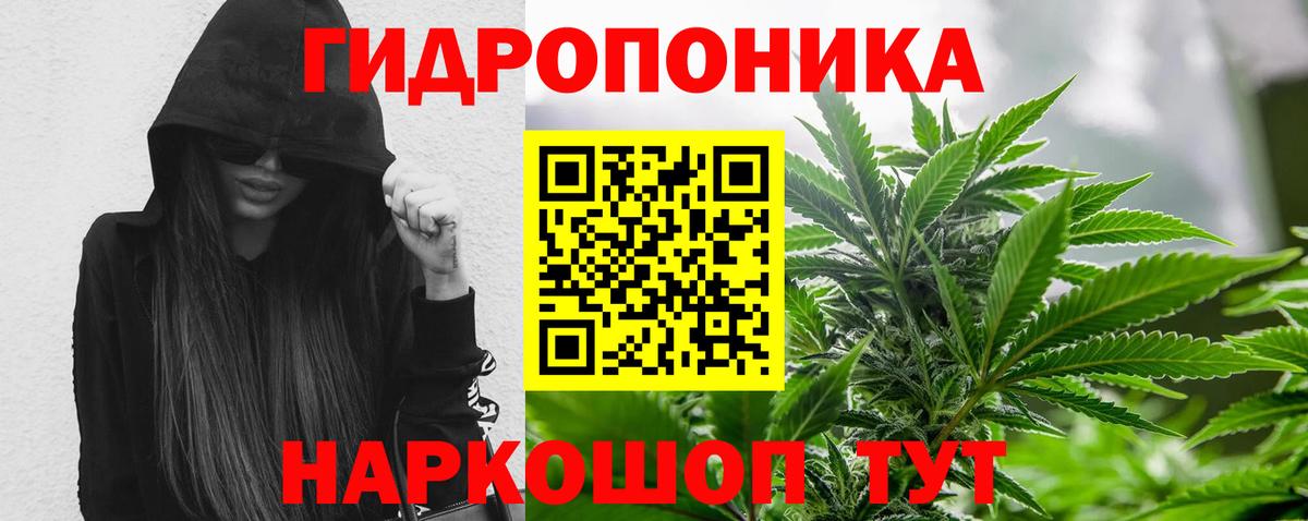Бошки марихуана план Сургут
